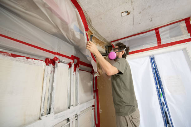 Mold Removal for HVAC Installations in Preakness, NJ