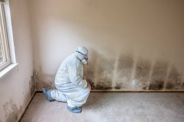 Forensic Mold Investigation in Preakness, NJ